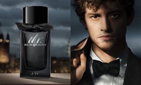 mr burberry uomo.note olfattive|burberry fragrance for men.